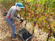 画像をギャラリービューアに読み込む, ドメーヌ・ド・バージュラス ルージュ 2016