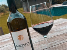 画像をギャラリービューアに読み込む, ドメーヌ・ド・バージュラス ルージュ 2016