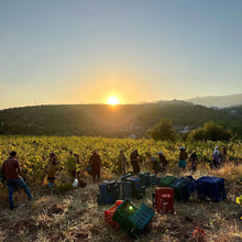 画像をギャラリービューアに読み込む, ダー・リヒ・ハナン 2018